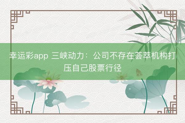 幸运彩app 三峡动力：公司不存在荟萃机构打压自己股票行径