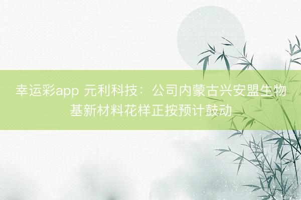 幸运彩app 元利科技：公司内蒙古兴安盟生物基新材料花样正按预计鼓动