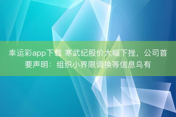 幸运彩app下载 寒武纪股价大幅下挫，公司首要声明：组织小界限调换等信息乌有