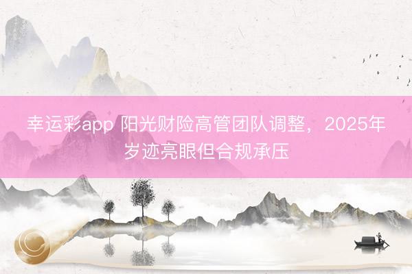 幸运彩app 阳光财险高管团队调整,2025年岁迹亮眼但合规承压