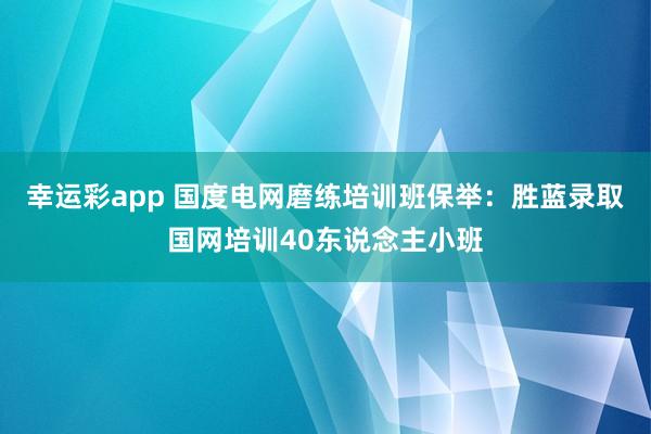 幸运彩app 国度电网磨练培训班保举：胜蓝录取国网培训40东说念主小班