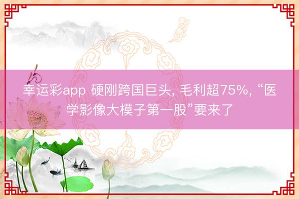 幸运彩app 硬刚跨国巨头, 毛利超75%, “医学影像大模子第一股”要来了