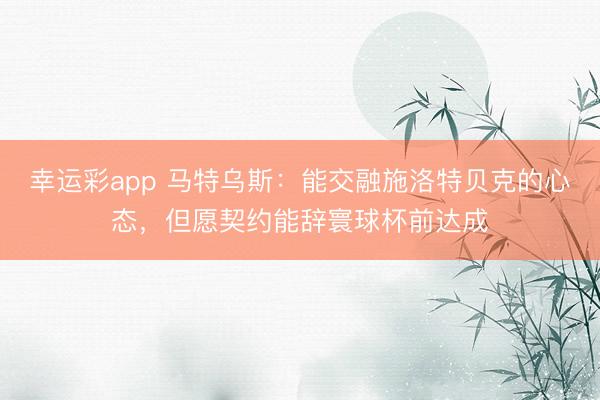 幸运彩app 马特乌斯：能交融施洛特贝克的心态，但愿契约能辞寰球杯前达成