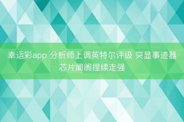 幸运彩app 分析师上调英特尔评级 突显事迹器芯片阛阓捏续走强
