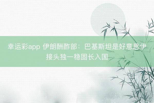 幸运彩app 伊朗酬酢部：巴基斯坦是好意思伊接头独一稳固长入国