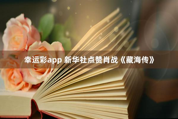 幸运彩app 新华社点赞肖战《藏海传》