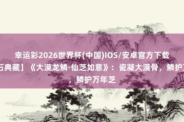 幸运彩2026世界杯(中国)IOS/安卓官方下载 【名石典藏】《大漠龙鳞·仙芝如意》:瓷凝大漠骨,鳞护万年芝