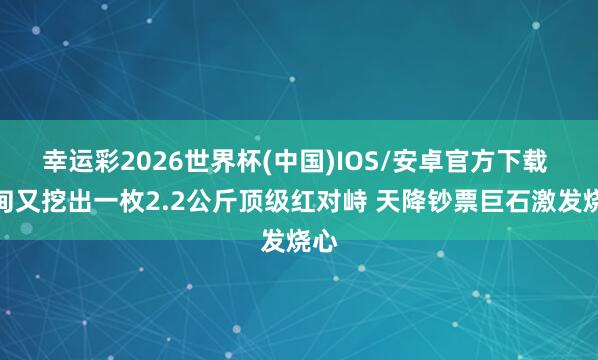 幸运彩2026世界杯(中国)IOS/安卓官方下载 缅甸又挖出一枚2.2公斤顶级红对峙 天降钞票巨石激发烧心