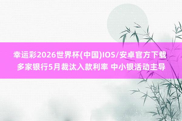 幸运彩2026世界杯(中国)IOS/安卓官方下载 多家银行5月裁汰入款利率 中小银活动主导