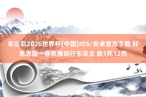 幸运彩2026世界杯(中国)IOS/安卓官方下载 好意思国一客机撞到行东谈主 致1死12伤