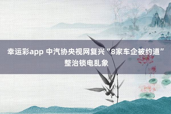幸运彩app 中汽协央视网复兴“8家车企被约道” 整治锁电乱象