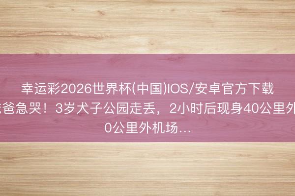 幸运彩2026世界杯(中国)IOS/安卓官方下载 上海爸爸急哭!3岁犬子公园走丢,2小时后现身40公里外机场…