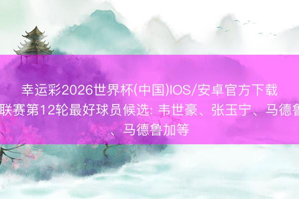幸运彩2026世界杯(中国)IOS/安卓官方下载 中超联赛第12轮最好球员候选: 韦世豪、张玉宁、马德鲁加等