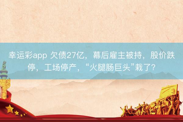 幸运彩app 欠债27亿，幕后雇主被持，股价跌停，工场停产，“火腿肠巨头”栽了？