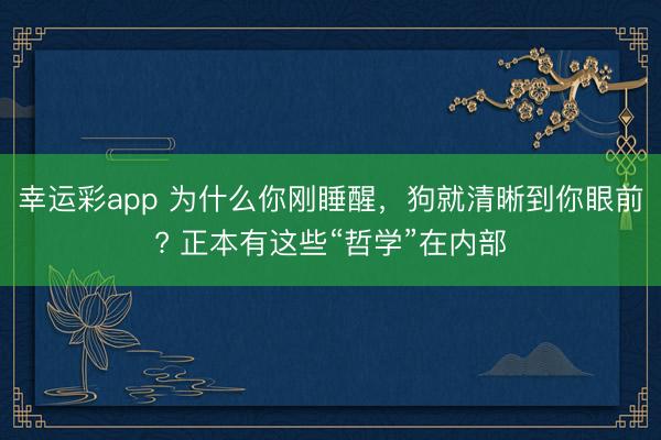 幸运彩app 为什么你刚睡醒，狗就清晰到你眼前? 正本有这些“哲学”在内部
