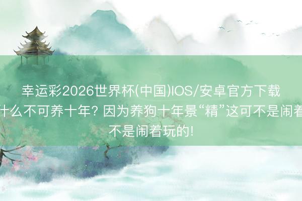幸运彩2026世界杯(中国)IOS/安卓官方下载 狗为什么不可养十年? 因为养狗十年景“精”这可不是闹着玩的!