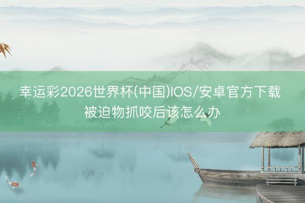 幸运彩2026世界杯(中国)IOS/安卓官方下载 被迫物抓咬后该怎么办
