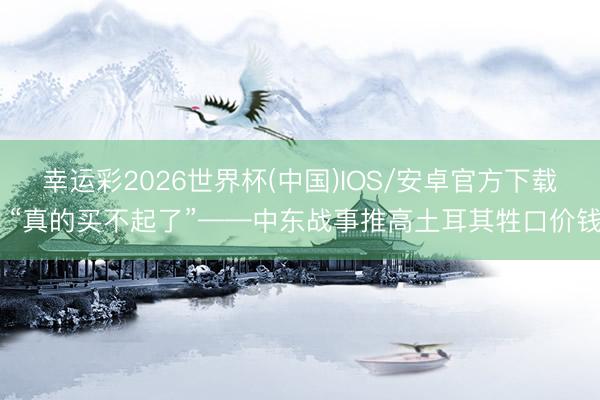 幸运彩2026世界杯(中国)IOS/安卓官方下载 “真的买不起了”——中东战事推高土耳其牲口价钱