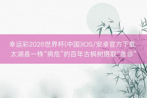 幸运彩2026世界杯(中国)IOS/安卓官方下载 太湖县一株“病危”的百年古枫树摄取“急诊”