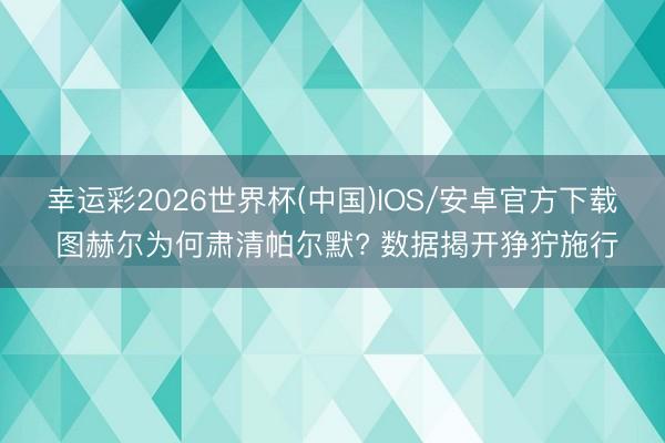 幸运彩2026世界杯(中国)IOS/安卓官方下载 图赫尔为何肃清帕尔默? 数据揭开狰狞施行