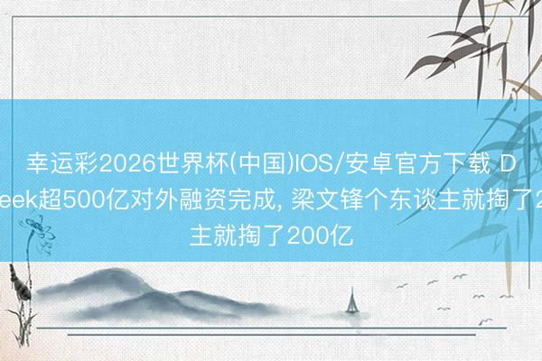 幸运彩2026世界杯(中国)IOS/安卓官方下载 DeepSeek超500亿对外融资完成， 梁文锋个东谈主就掏了200亿