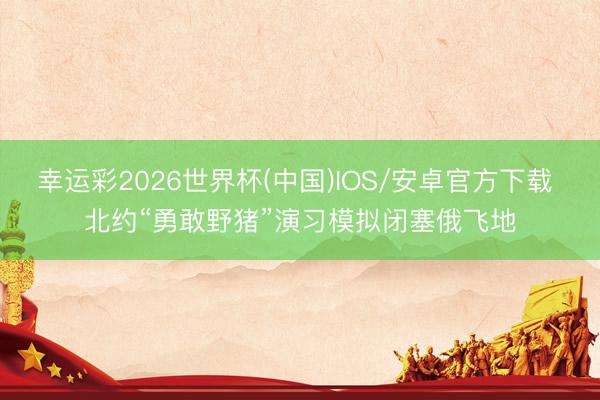 幸运彩2026世界杯(中国)IOS/安卓官方下载 北约“勇敢野猪”演习模拟闭塞俄飞地